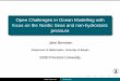 Open Challenges in Ocean Modelling with focus on the 