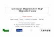Molecular Magnetism in High Magnetic Fields