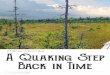 Philbrick-Cricenti Bog A Quaking Step Back in Time