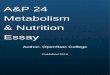 Cover Page A&P 24 Metabolism & Nutrition Essay - Jobilize