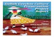 Gullah Geechee Culture Preservation Project Report