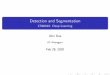 Detection and Segmentation - IITKGP
