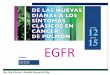EGFR - gido.es