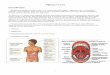 Digestive Tract Introduction