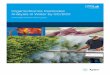 Organochlorine Pesticides Analysis in Water by GC/ECD