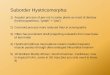 Suborder Hystricomorpha