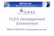 FLEX D l tFLEX Developement Environment