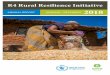 R4 Rural Resilience Initiative - World Food Programme