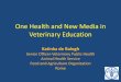 One Health and New Media in Veterinary Education