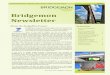 Bridgemon Newsletter - ZAG
