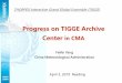 Progress on TIGGE Archive Center in CMA - ECMWF