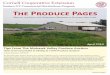 The Produce Pages - Regional Vegetable Program Admin