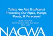 Toilets Are Not Trashcans! Protecting Our Pipes, Pumps 
