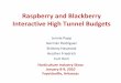 Raspberry and Blackberry Interactive High Tunnel Budgets