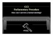 Parliamentary Procedure Presentation