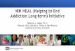 NIH HEAL (Helping to End Addiction Long-term) Initiative