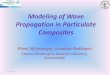Numerical Modeling of Wave Propagation in Particulate 