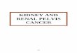 KIDNEY AND RENAL PELVIS CANCER - Nevada
