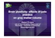 Brain plasticity: effects of judo practice on gray matter 