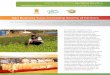 Agri Business Yuva: Increasing Income of Farmers