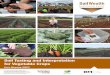 Soil Testing and Interpretation for Vegetable Crops