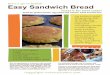 Erin’s go-to bread! Easy Sandwich Bread
