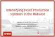 Intensifying Pond Production Systems in the Midwest
