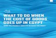 WHAT TO DO WHEN THE COST OF GOODS GOES UP IN EGYPT