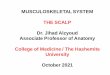 MUSCULOSKELETAL SYSTEM THE SCALP Dr. Jihad Alzyoud 