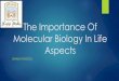 The Importance Of Molecular Biology In Life Aspects