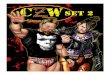 Combat Zone Wrestling - Set 2 - 1ShoppingCart.com