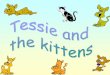 Tessie has nine kittens. Sometimes