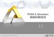 TOSCA Structure 高级结构优化