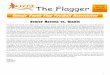 Issue #5 The Flagger