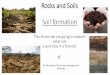 Rocks and Soils Soil formation - Eliot Bank Primary School