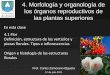 4. Morfología y organología de los órganos reproductivos 