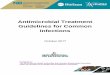 Antimicrobial Treatment Guidelines for Common Infections