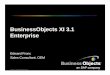 BusinessObjects XI 3.1 Enterprise