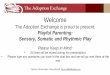 Playful Parenting: Sensory, Somatic and Rhythmic Play