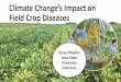 Climate Change and Crop Diseases