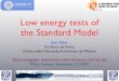 Low energy tests of the Standard Model