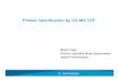 Protein Identification by CE-MS-TOF