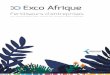 Plaquette Exco Afrique