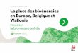 ANALYSE / DÉCEMBRE 2017 La place des bioénergies en Europe 