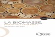 ENJEUX SCIENCES La biomasse, - Librairie Quae