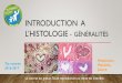 Introduction A L’histologie