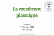 La membrane plasmique - Tutorat Santé Brestois