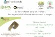 La filière forêt-bois en France : Les enjeux de l 