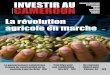 INVESTIR AU GRANDS CHANTIERS ... - Investir au Cameroun
