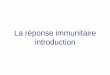 La réponse immunitaire introduction